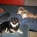 Michael Klick - Facebook