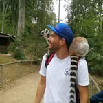 Michael Klinger - @_michael_klinger - Instagram