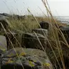 michaelklosterhalfen - @funplay_hd - TikTok