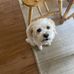 Chase Michael Klosterman - Facebook