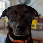 Michael Klunk - @klunkm - Instagram