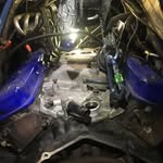 Michael Knapp - @michaelknapp777 - Instagram