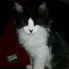 michael knapp - @mikesworld69 - TikTok