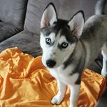 Knolle - @michael.knarr.9406 - Instagram