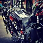 Michael Knee - @michael.m.knee - Instagram