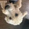 michaelknee86 - @michaelknee86 - TikTok