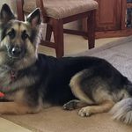 Michael Knipp - @bigdawgknipp - Instagram