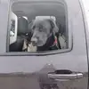 michaelknipper7 - @michael.knipper - TikTok