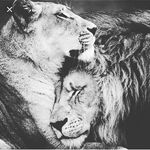 julian Michael izaiah knuckles - @kingcreed13 - Instagram