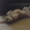 michaelknuth467 - @michaelknuth467 - TikTok