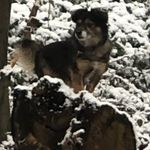 Michael Kögel - @m.koegel - Instagram