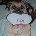 Michael Kohn - Facebook
