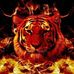 Michael Kohnke - Facebook