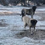 Michael Kok - @michaelkok4004 - Instagram