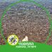 Michal Kolodner-Tobol - Facebook