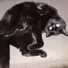 Michael Koop - @michael.koop4 - TikTok