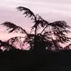 michaelkoop4 - @michaelkoop4 - TikTok