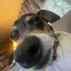 Michael Kopp - @michael_k0pp - TikTok