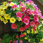Michael Korb - @korb7472 - Instagram