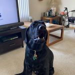Mike Kosarko - @michaelkosarko - Instagram