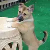Michael Koster - @michael.koster - TikTok