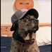 Michael Koth - Facebook
