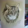 Michael Kotschwar - @michaelkotschwar - TikTok