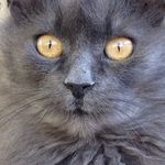 Michael Kovacevich - @michaelkovacevich - Instagram