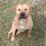 Michael Kraatz - @kraatzm - Instagram