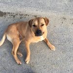 Michael Kraatz - @__.michaelkraatz1133__ - Instagram