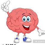 Michael Kreft - @mk_the.brain - Instagram