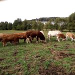 Michael Rüdiger Kreft - @micha_elruediger - Instagram