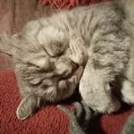 Wolf-Michael Kreft - @wolfmichaelkreft - Instagram