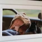 Michael Krier - @krier59 - Instagram