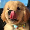 Ztoyz - @michael.krimmel - TikTok