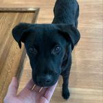 Michael Kroll - @cardiotechy - Instagram