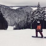 Michael Kroll - @_michael_93 - Instagram