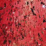 Michael Kromer - @michaelkromer8 - Instagram