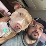Michael Krulcik - @krulcikmichael - Instagram