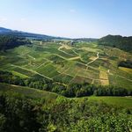 Michał Kruzel | wino-wine-vin-wein-bor-víno - @michal.kruzel - Instagram