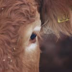 Michał Krzywicki - @krzywicki_michal - Instagram