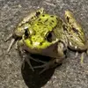 Michael Kuch - @michael.kuch - TikTok
