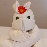 Michael Kudla - @michaelkudla - Instagram