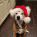 Michael Kudla - Facebook