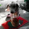 Michael Kulish - @michaelkulish846 - TikTok