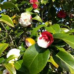 Michael Kumm - @michael.kumm - Instagram