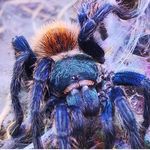 Michael Kunde - @michaelkunde9 - Instagram