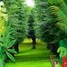 Michael Kyando - Facebook