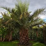 Michael Küpper - @michakk81 - Instagram