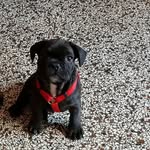 Michael Küpper - @kupper82 - Instagram